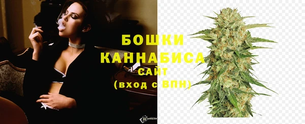 Альфа ПВП Верея