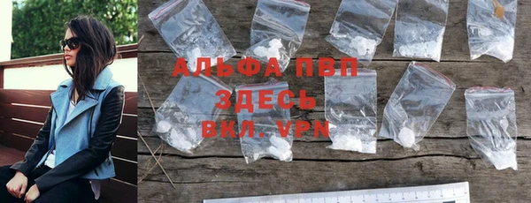 стаф Володарск