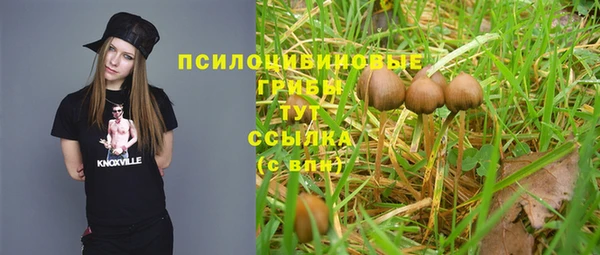 Альфа ПВП Верея