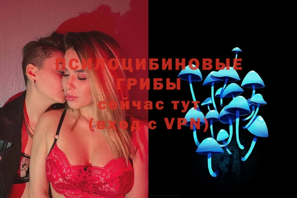 гашик Тихвин